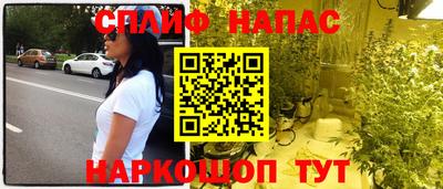 бошки Гатчина