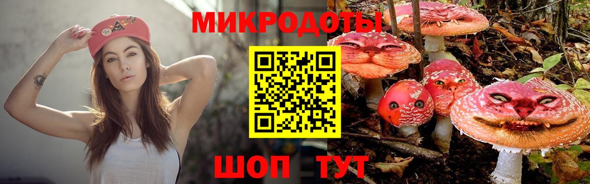 Псилоцибиновые грибы прущие грибы  Псилоцибиновые грибы GOLDEN TEACHER  Михайловка  Вход с VPN 